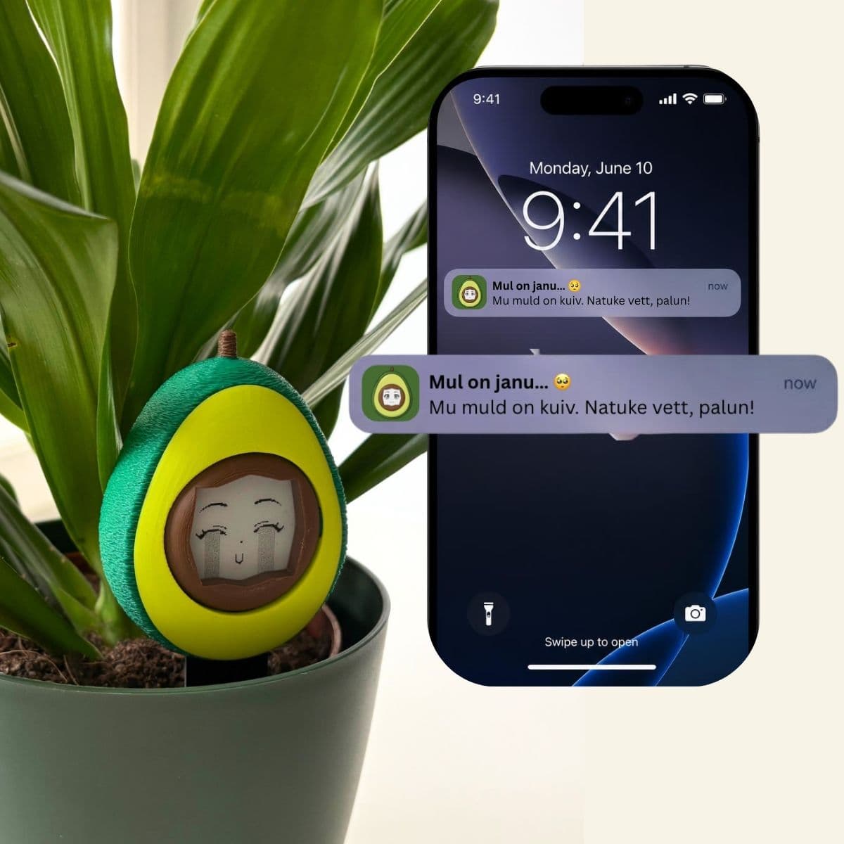 Cuticado Mobile App