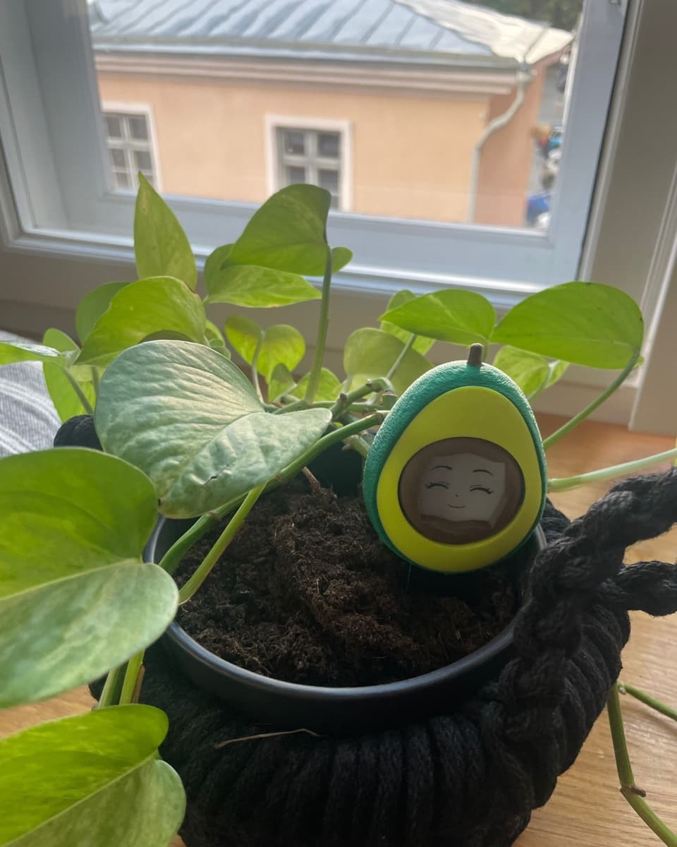 Cuticado Smart Plant Companion Device