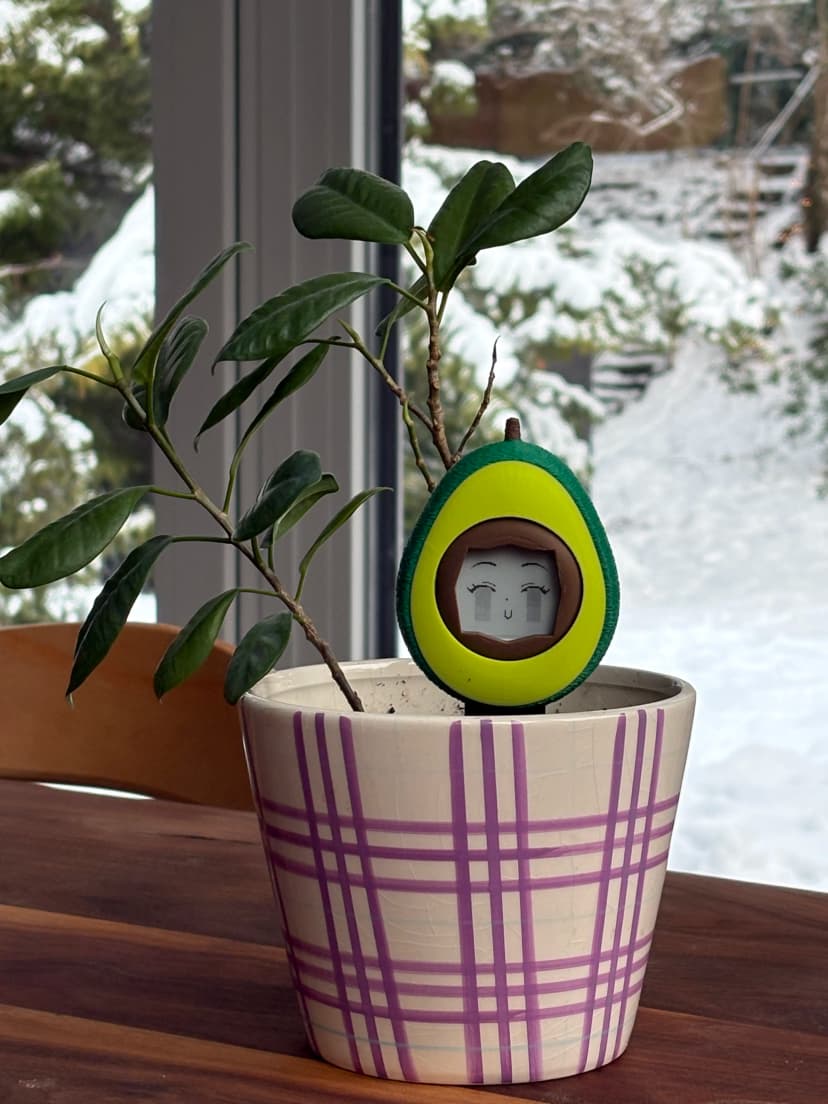 Cuticado Smart Plant Companion Device
